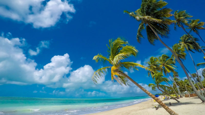 Praias em Maceió 7 lugares paradisíacas para conhecer