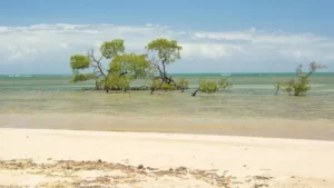 As melhores opções de destinos de viagem para qualquer orçamento