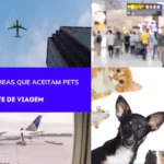 Companhias aéreas que aceitam Pets
