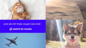 Leve seu Pet para viajar com você