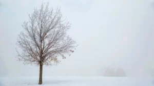 5 destinos fascinantes para uma viagem inesquecível no inverno 