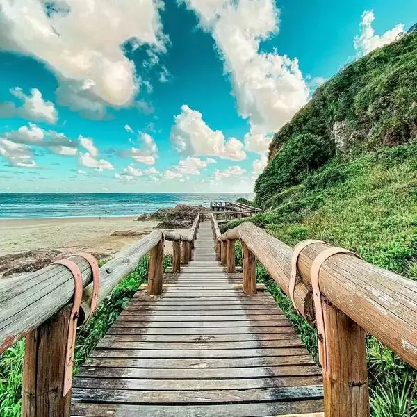 Ilha do Mel, escadaria de madeira cercada por vegetação rasteira que leva até a areia de uma praia azulada.