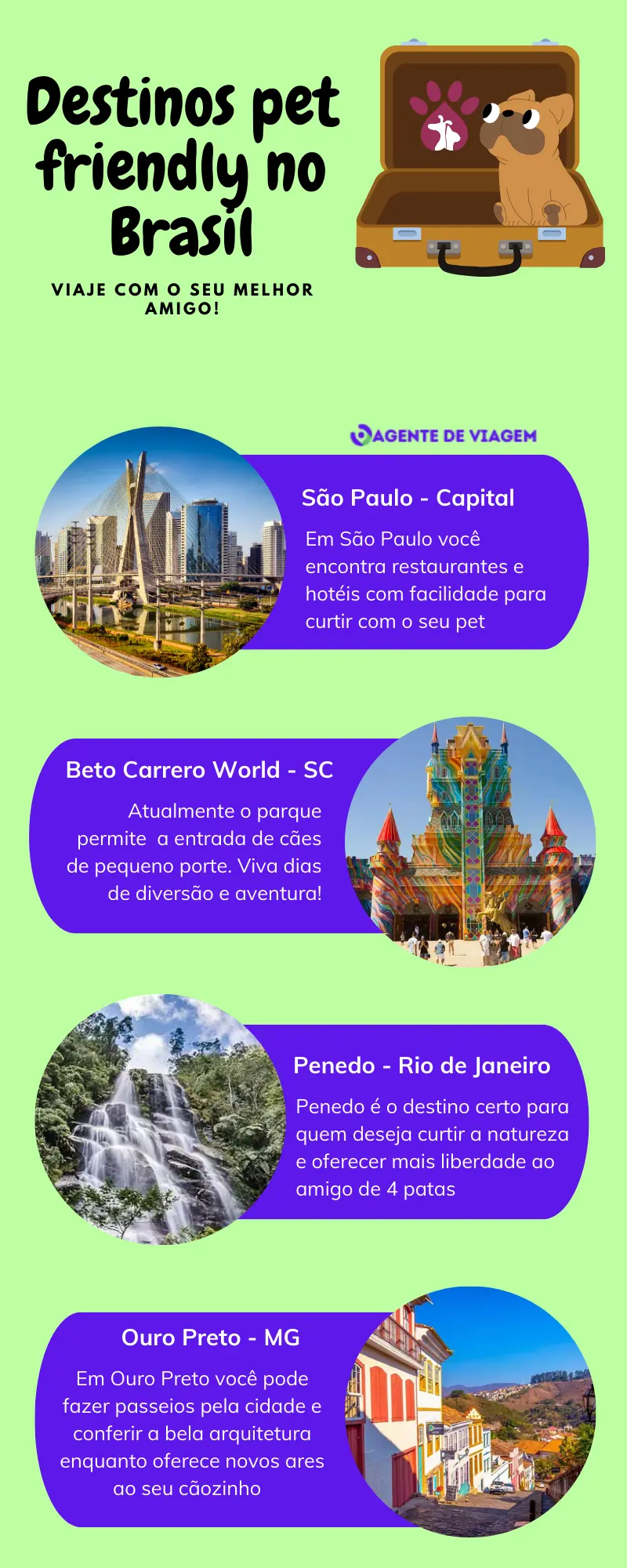 destinos pet friendly no Brasil