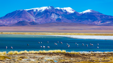 melhor época para visitar o Deserto do Atacama