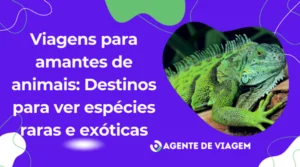 Viagens para amantes de animais: Descubra ótimos destinos com espécies raras