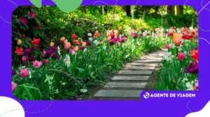 Cidades brasileiras para visitar na primavera 2025: destinos com eventos, flores e cultura local