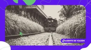 Como Explorar a Ásia de Trem: Rotas Que Estão Encantando Turistas