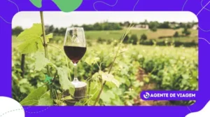 Vinícolas no Vale dos Vinhedos: roteiro de 1,2 e 3 dias