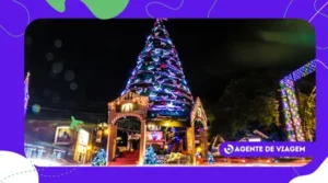 Como é o Natal nas capitais nordestinas: tradições, ceias e celebrações únicas de cada região