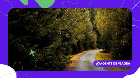 Como o clima molda o jeito de viver