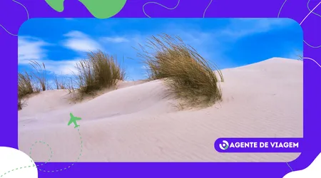 Como o vento molda o Nordeste