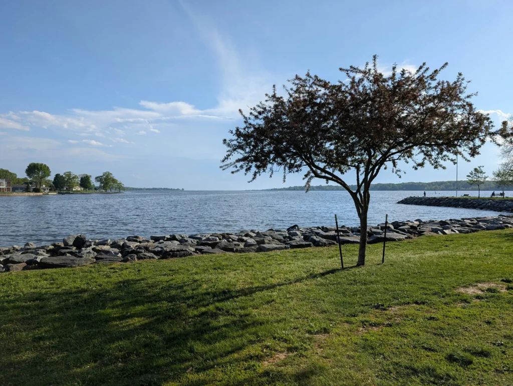 Conheça o modelo que valoriza saberes locais, gera renda e preserva a cultura viva do Nordeste.
