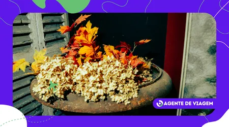 Melhores destinos para outono de 2026 no Brasil e no mundo