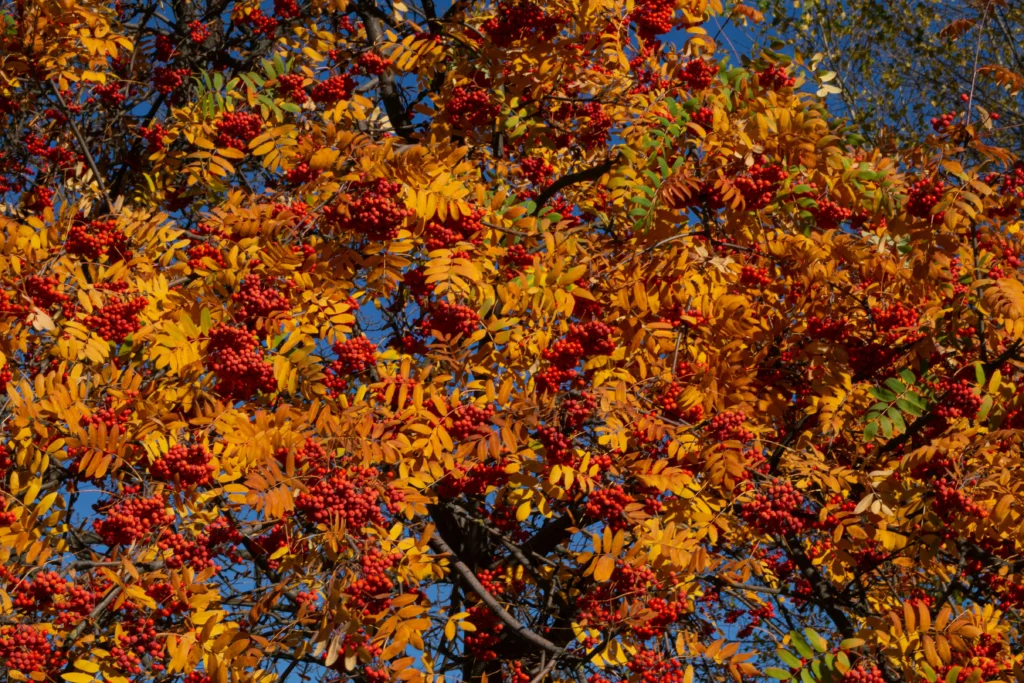 Melhores destinos para outono de 2026