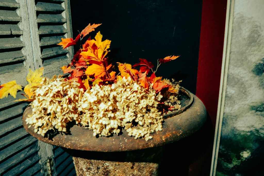 Melhores destinos para outono de 2026