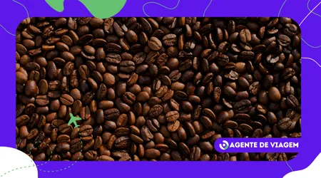 Como a cultura do café artesanal redefine encontros urbanos
