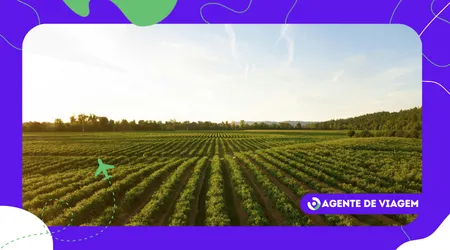 O que revela o interior agrícola nordestino longe do litoral