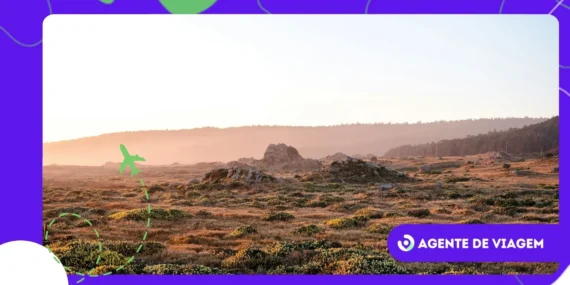 Descubra o Cariri paraibano e suas paisagens surpreendentes