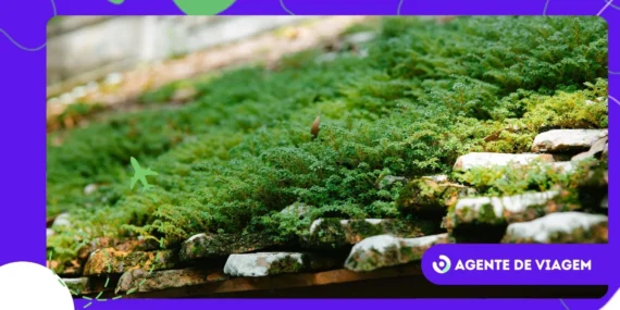 Conheça as ilhas de telhados verdes escondidas no Atlântico Norte