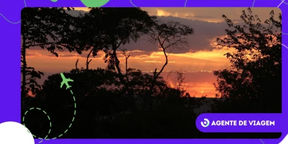 Conheça as serras do Ceará que fogem do turismo de praia