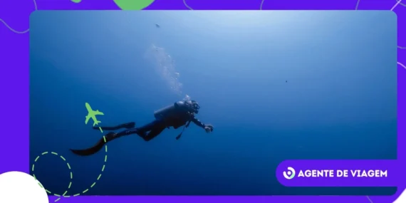 Descubra parques marinhos protegidos para mergulho inesquecível