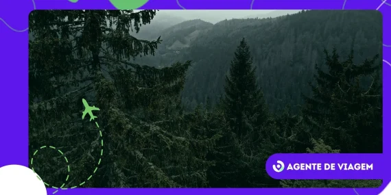 Descubra Floresta Negra na Alemanha além dos contos