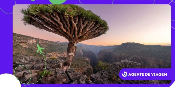 Descubra Socotra e a ilha com paisagens de outro planeta
